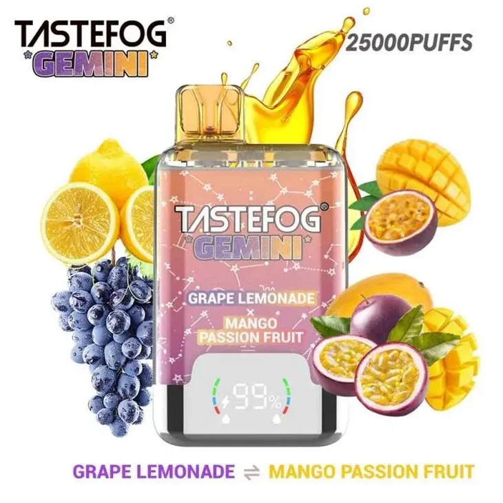 tastefog-gemini-250001eeb5 tastefog-gemini-250001eeb5