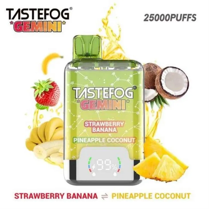 tastefog-gemini-2500006983 tastefog-gemini-2500006983