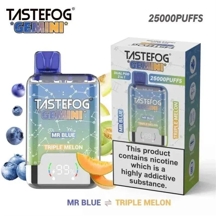 TASTEFOG GEMINI 25000 Puffs Vape factory